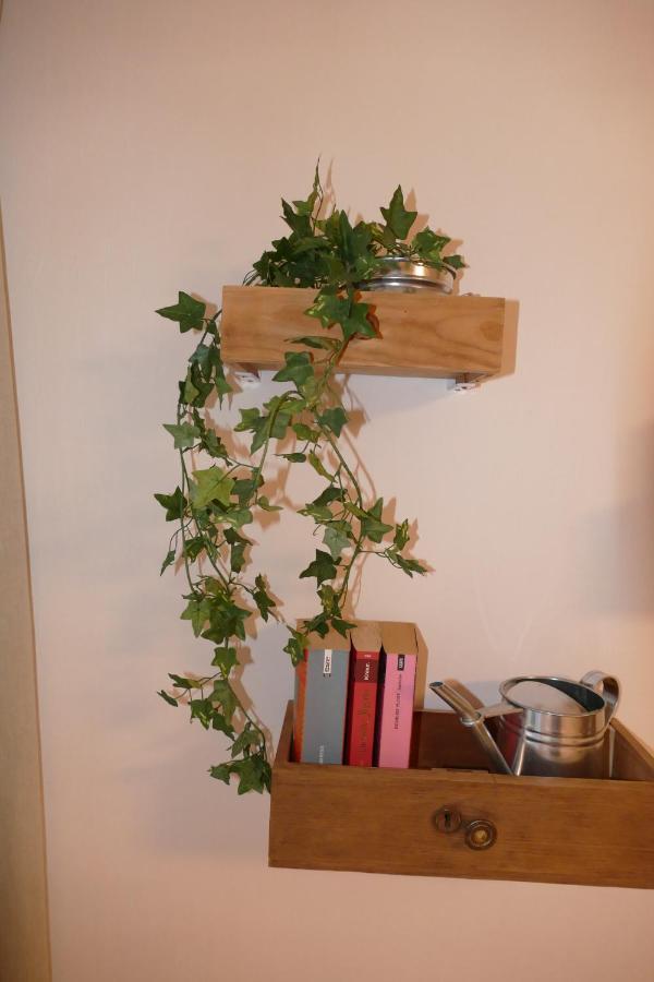 Harzapart 2 Wandertraum Appartement
